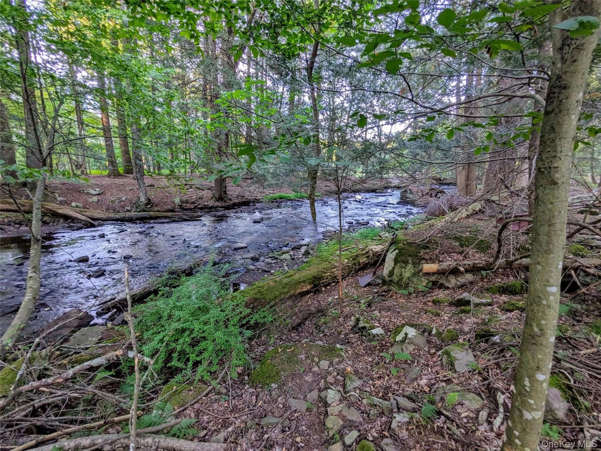 30 N Mohican Trail, Smallwood, NY 12778