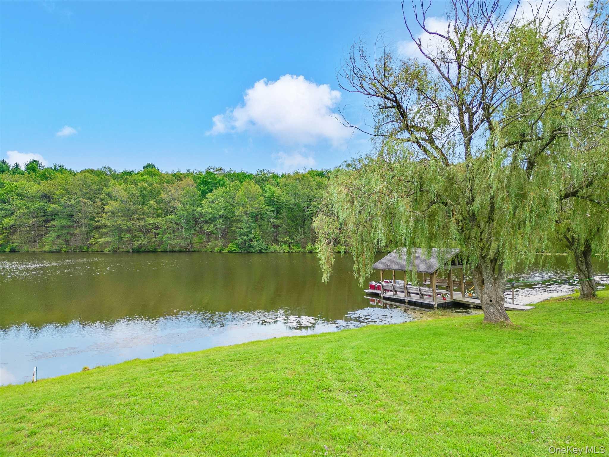 238 PUMPKIN LANE REAR, Clinton Corners, NY 12514