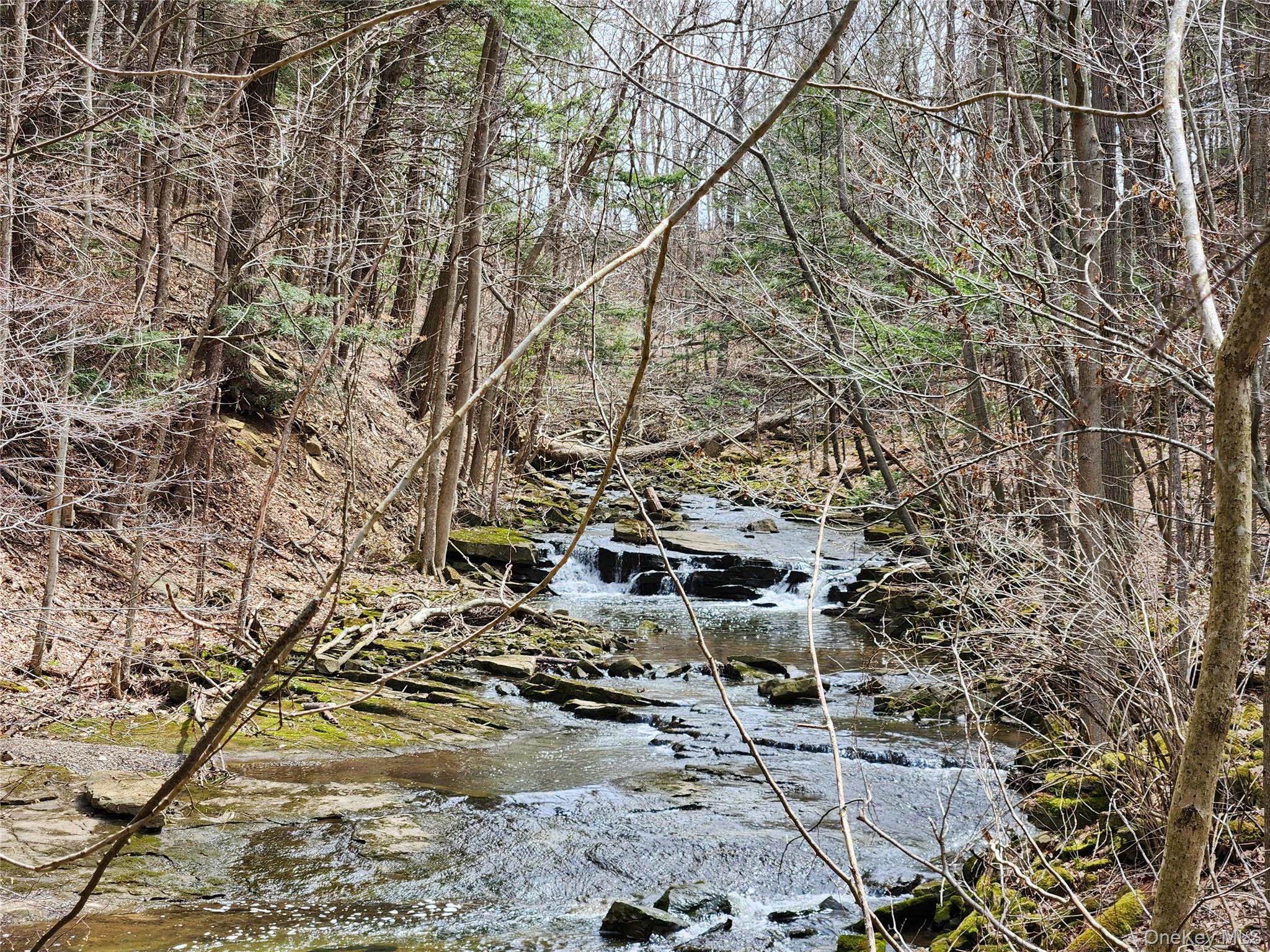 110 Klemme Road, Other, NY 12166