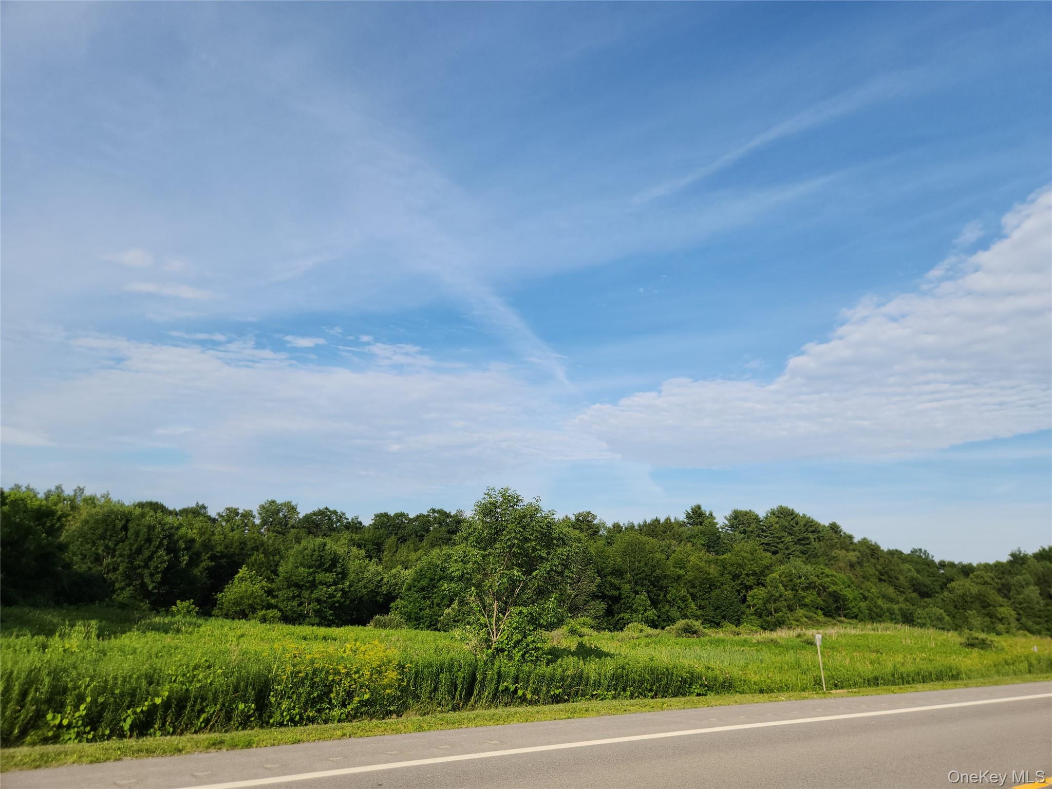 110 Klemme Road, Other, NY 12166