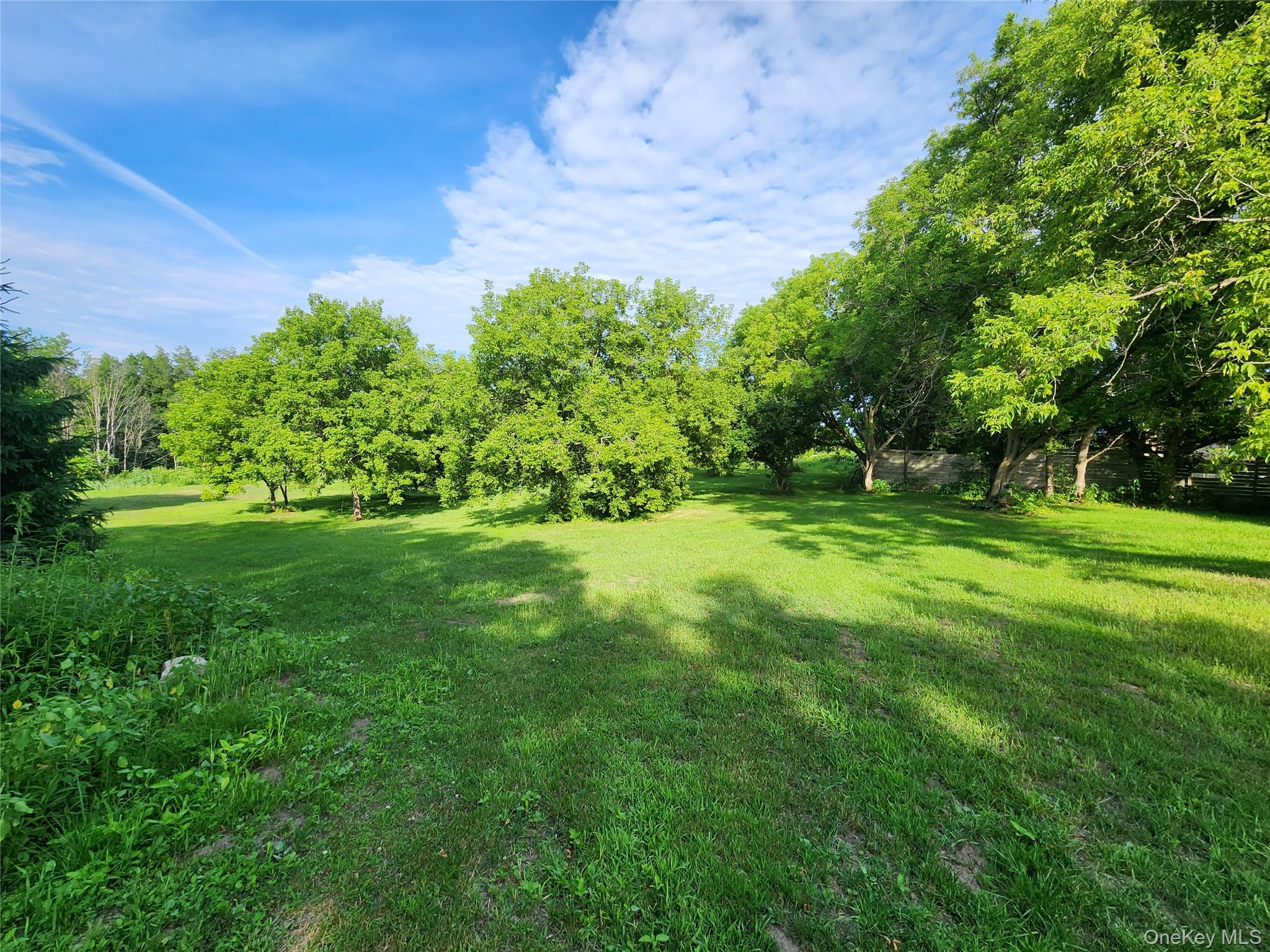 110 Klemme Road, Other, NY 12166