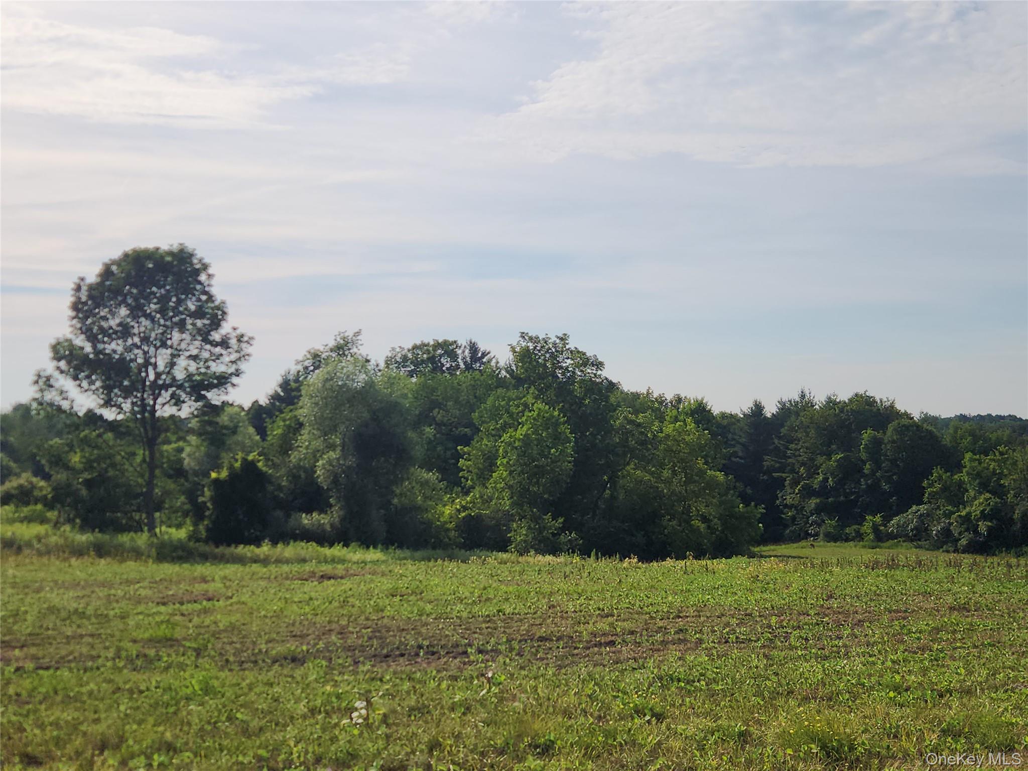 110 Klemme Road, Other, NY 12166