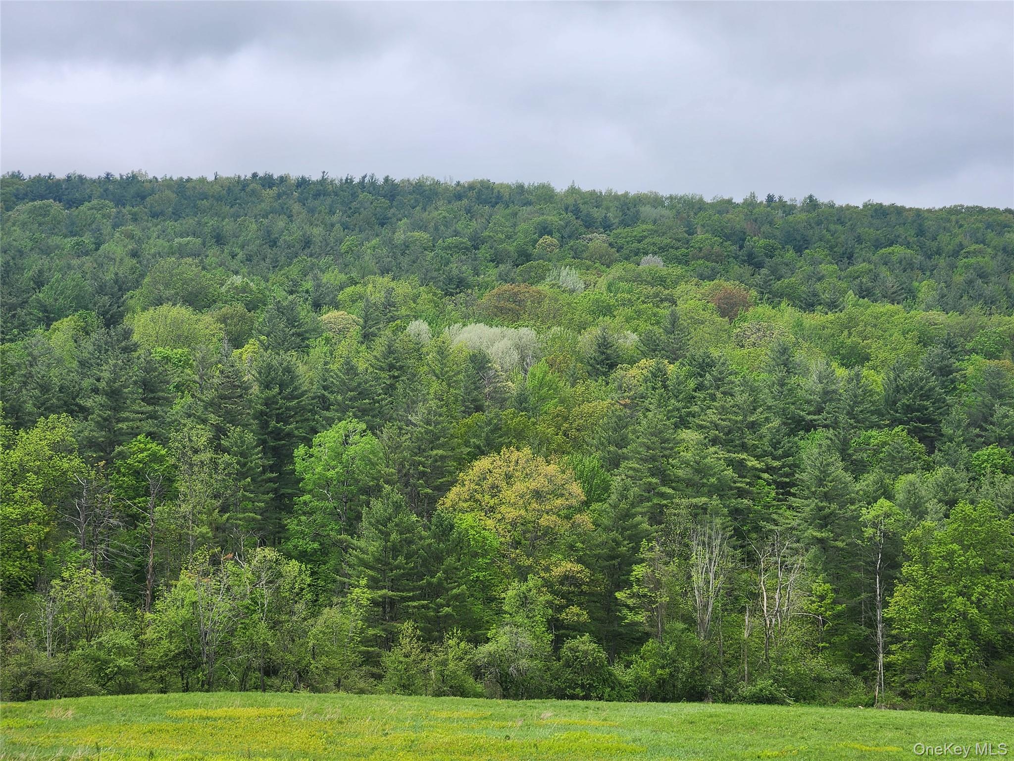 110 Klemme Road, Other, NY 12166