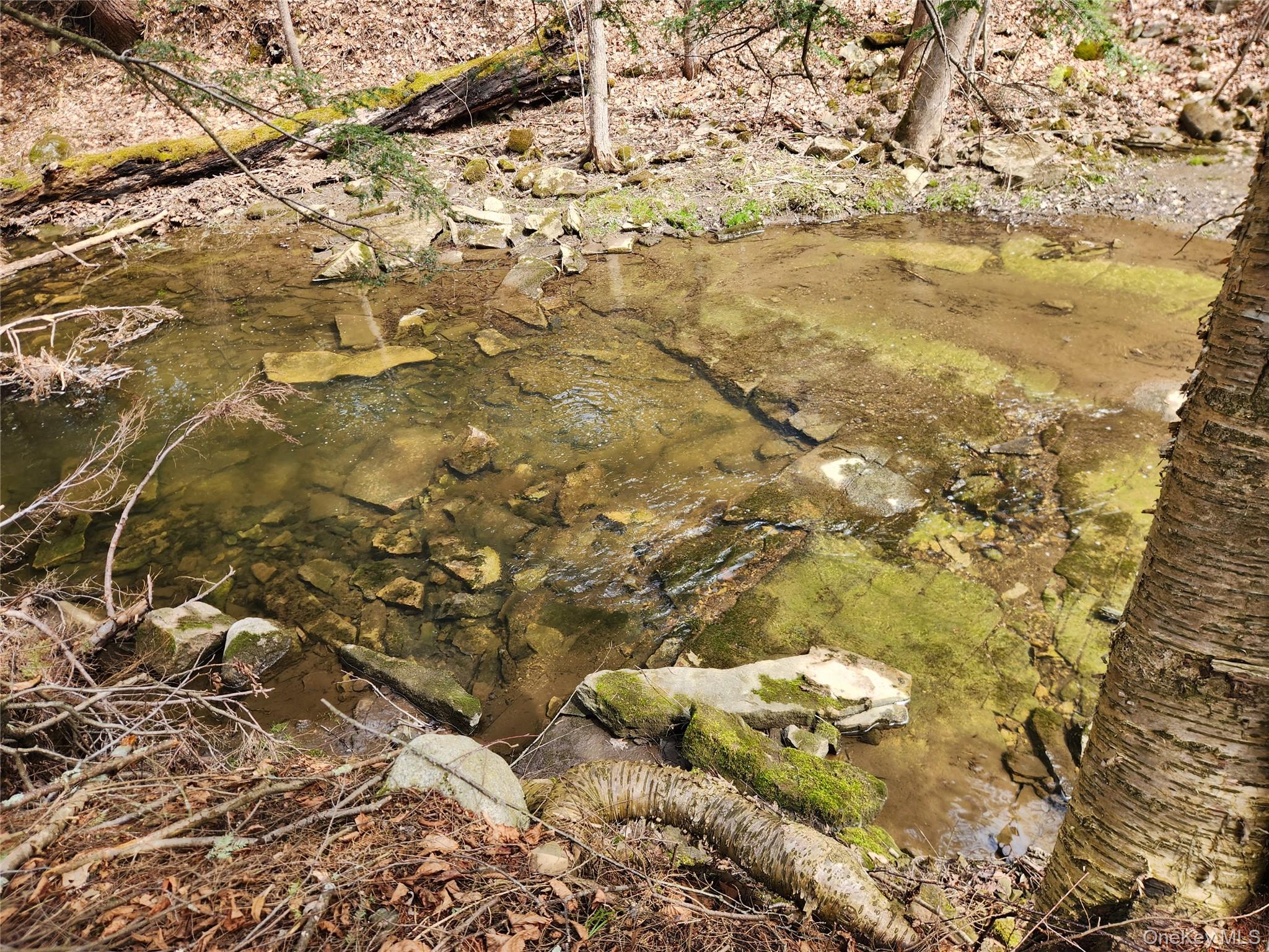 110 Klemme Road, Other, NY 12166