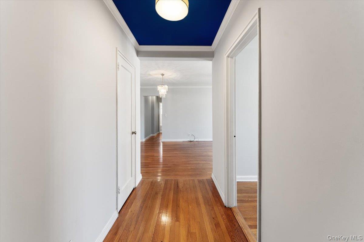 95 N Broadway # C2-6, White Plains, NY 10603