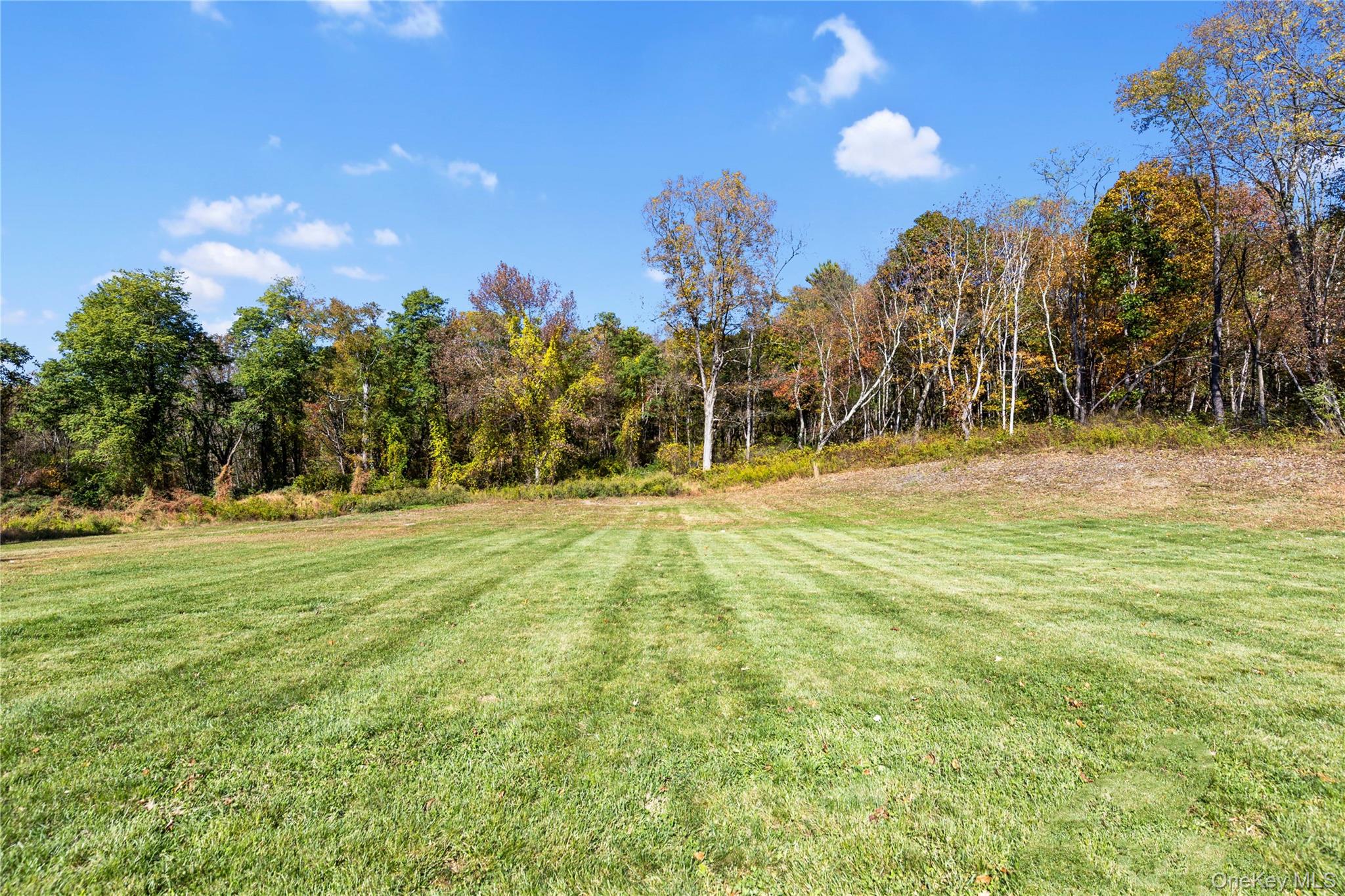 76 Woodlands Trail, Clinton Corners, NY 12514