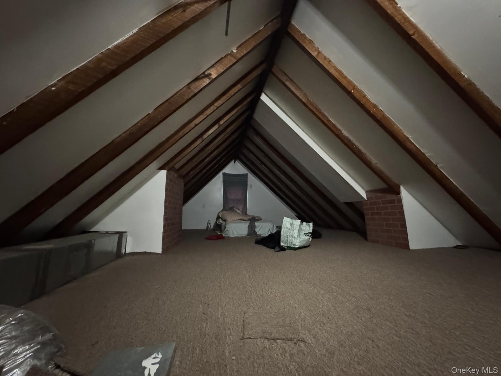 10155 116th Street, Richmond Hill, NY 11419