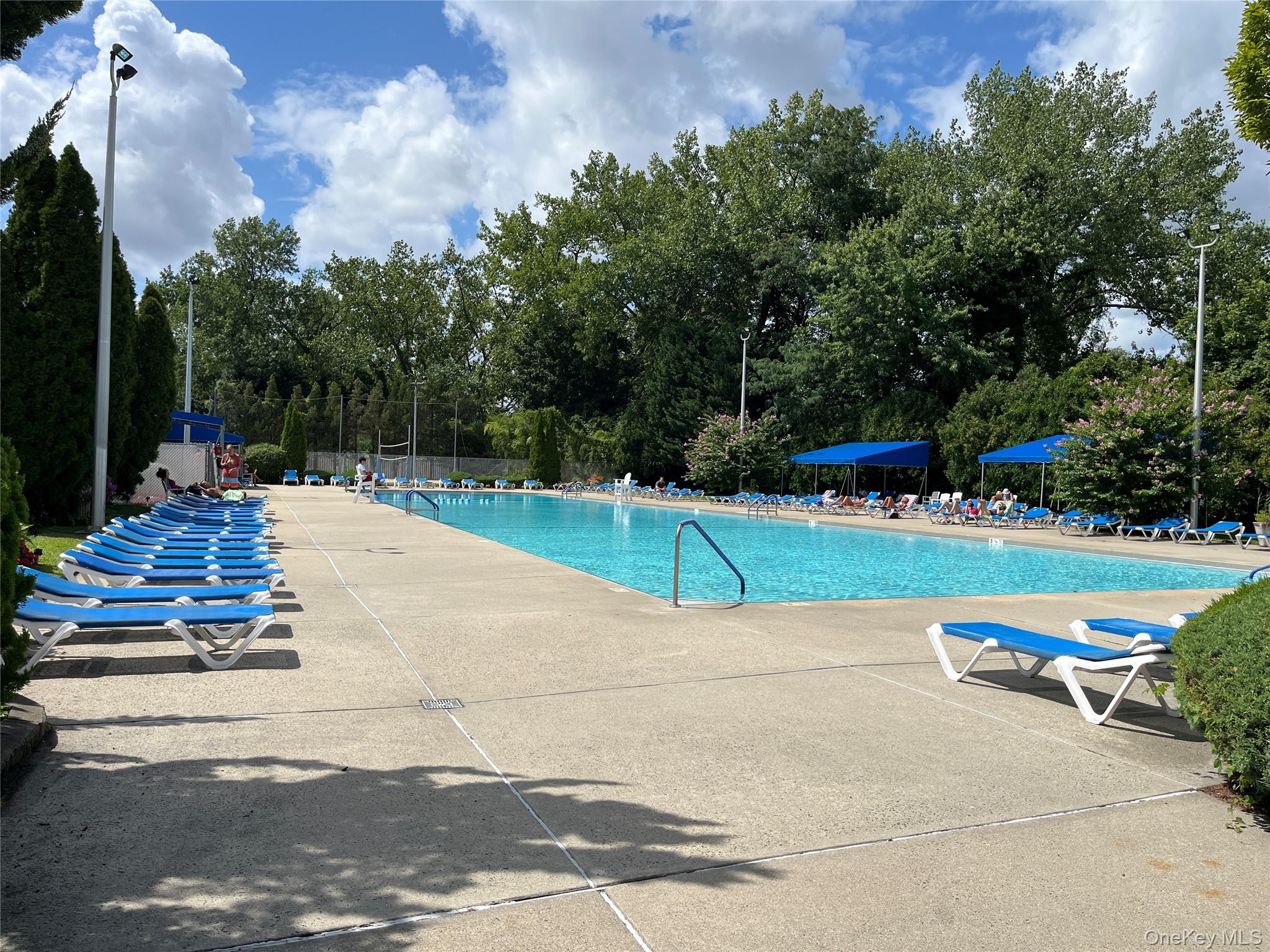 6 West Mill Drive # 1A, Great Neck, NY 11021