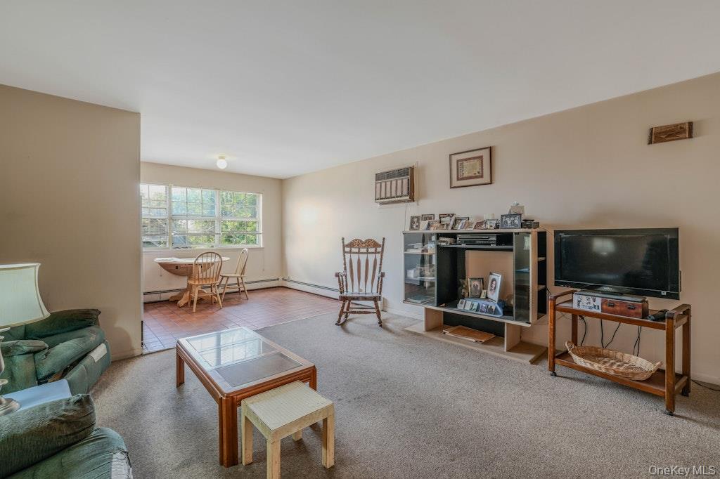 225 Rushmore Avenue, Carle Place, NY 11514