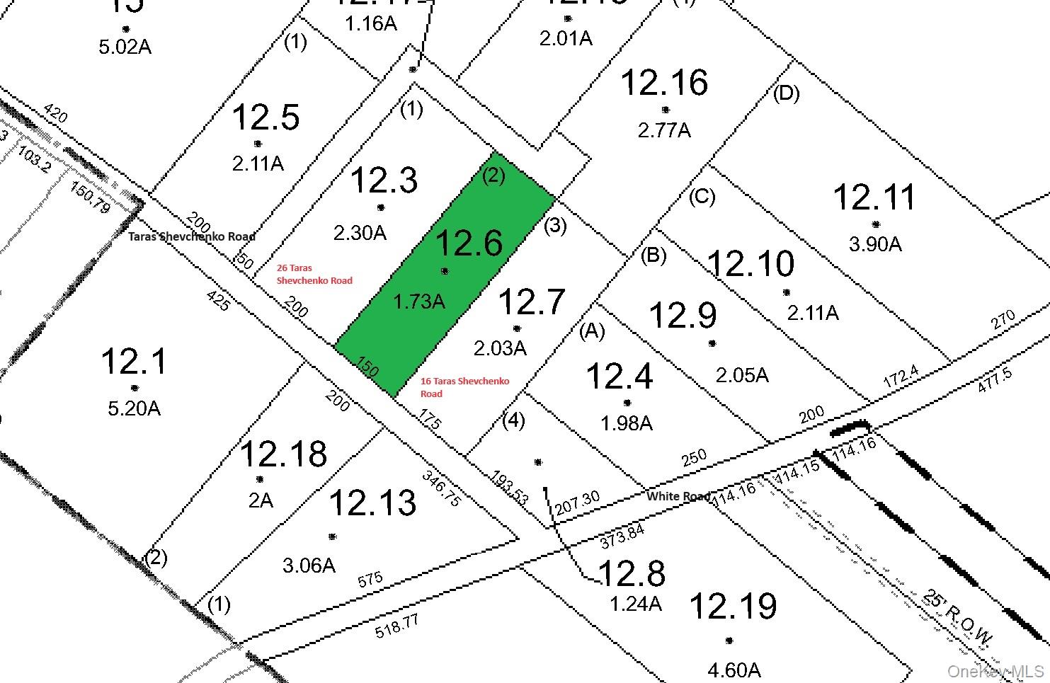 Lot 12.6 Taras Schevchenko Road, Glen Spey, NY 12737