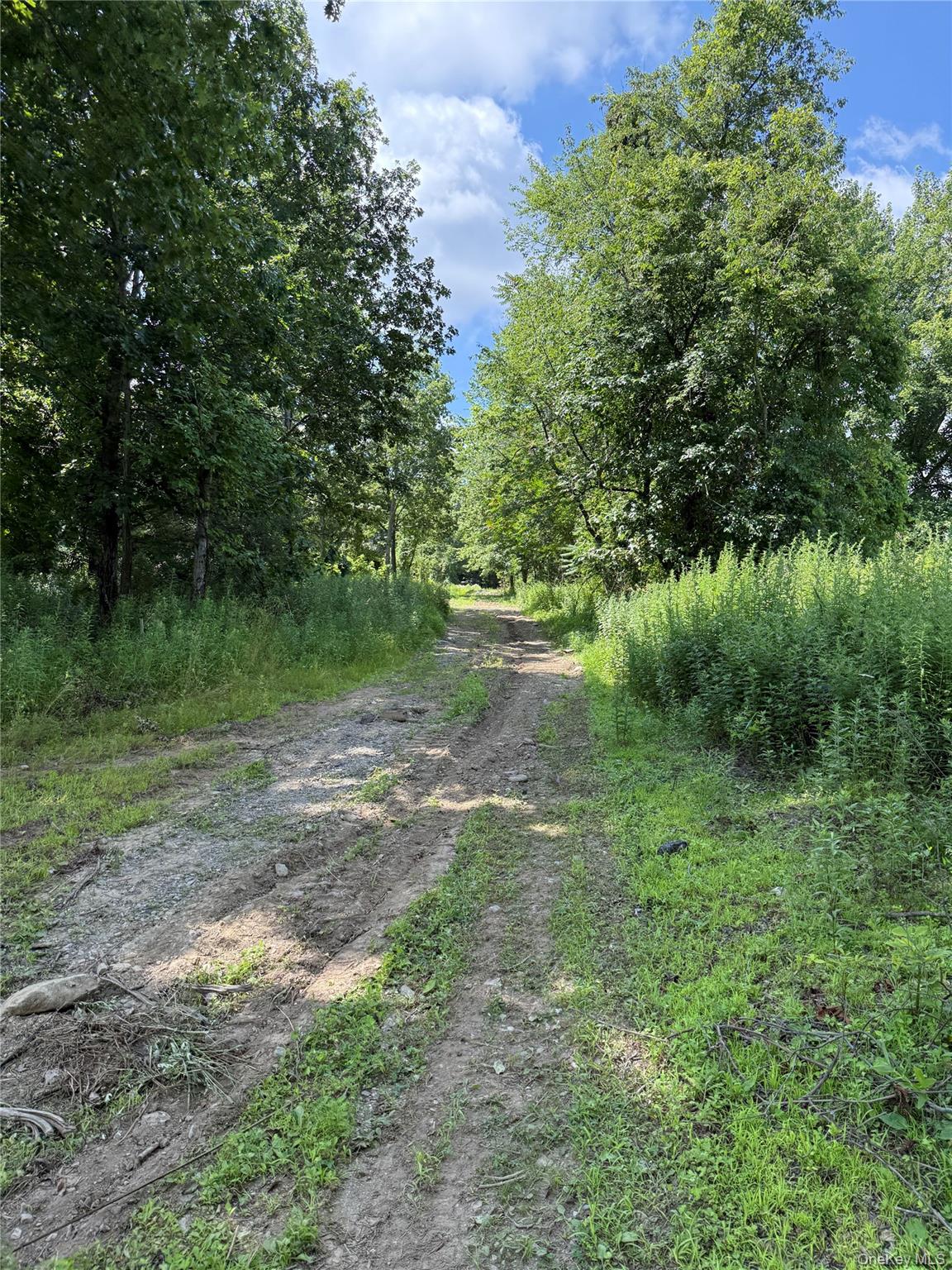 36 Gem Mountain, Lagrangeville, NY 12540