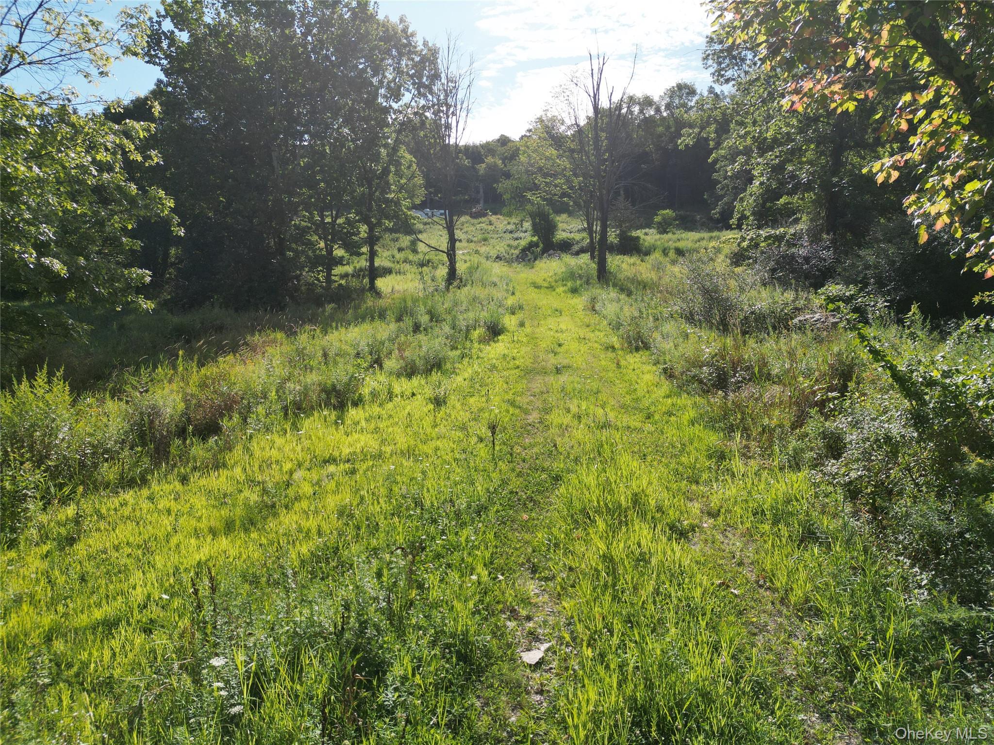 36 Gem Mountain, Lagrangeville, NY 12540