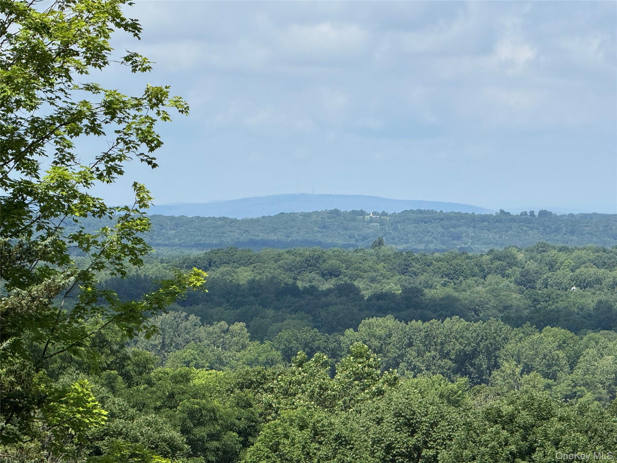 36 Gem Mountain, Lagrangeville, NY 12540