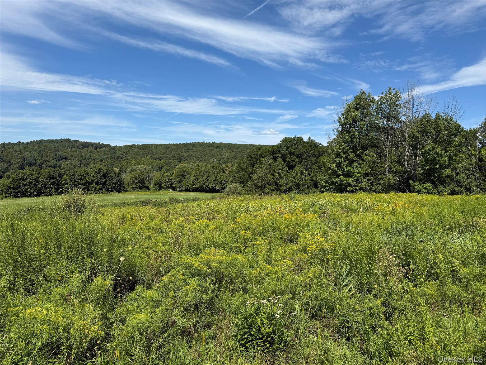 4848 Route 44, Amenia, NY 12501
