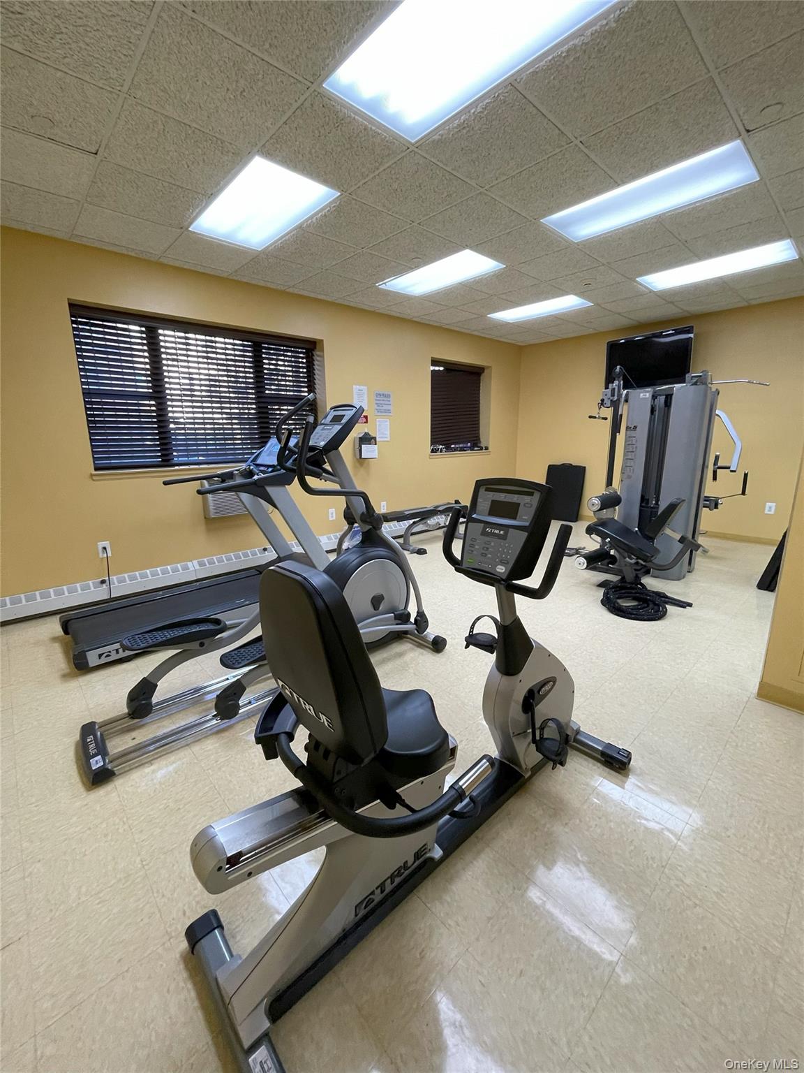 1259 Grant Avenue # 8A, Bronx, NY 10456