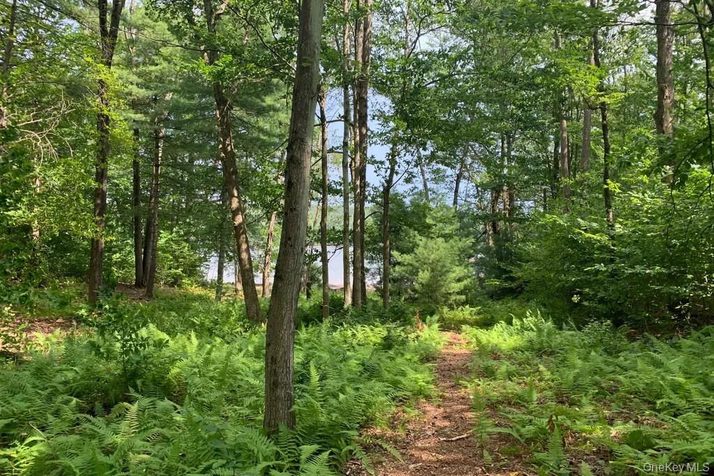 Lot 23 Woodstone Trail, White Lake, NY 12720