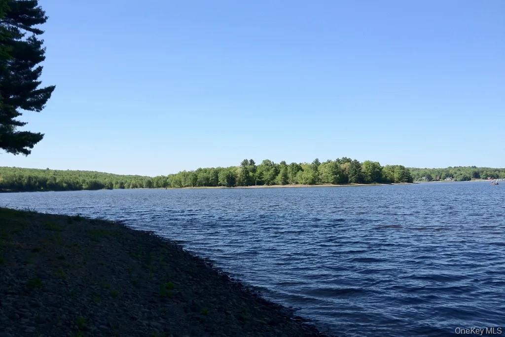 Lot 23 Woodstone Trail, White Lake, NY 12720