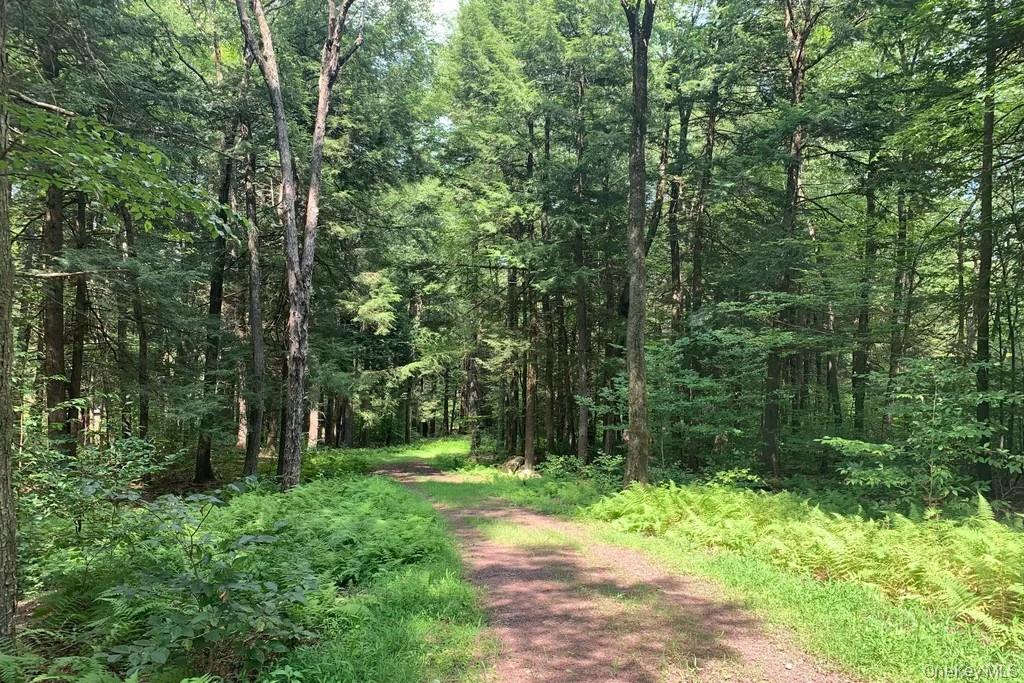 Lot 23 Woodstone Trail, White Lake, NY 12720