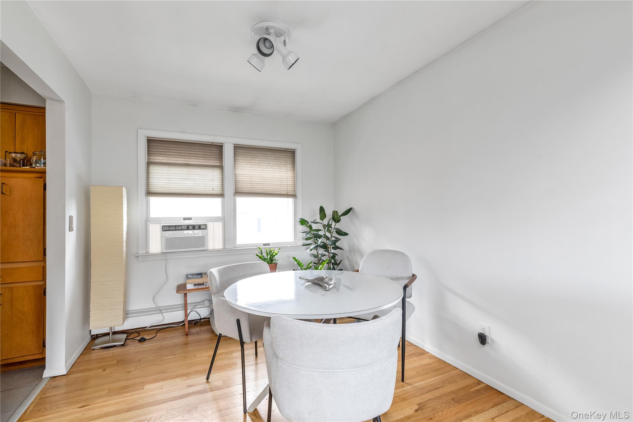 41 Jackson Avenue, Mineola, NY 11501