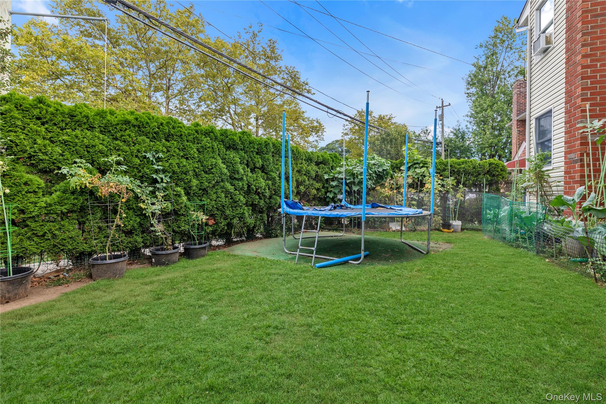 41 Jackson Avenue, Mineola, NY 11501