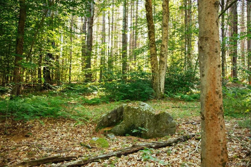 Lot 1 Woodstone Trail, Smallwood, NY 12737