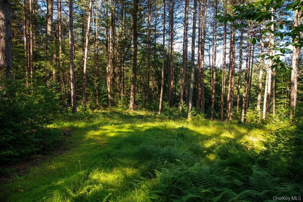 Lot 1 Woodstone Trail, Smallwood, NY 12737
