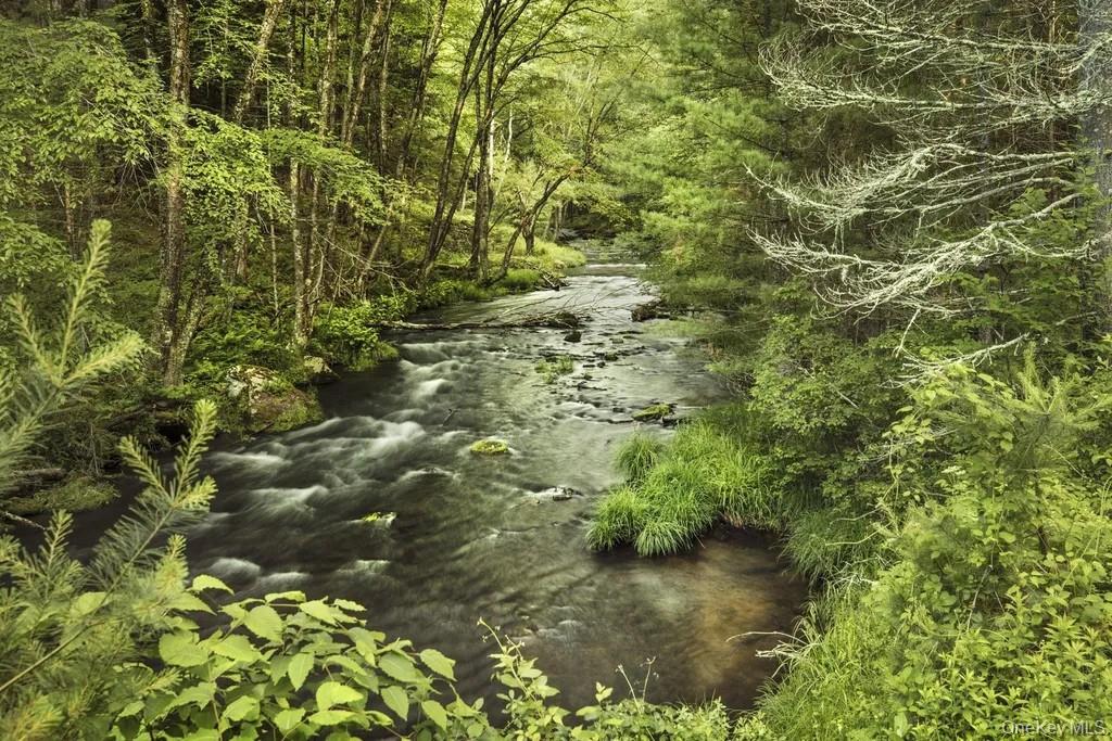 Lot 1 Woodstone Trail, Smallwood, NY 12737