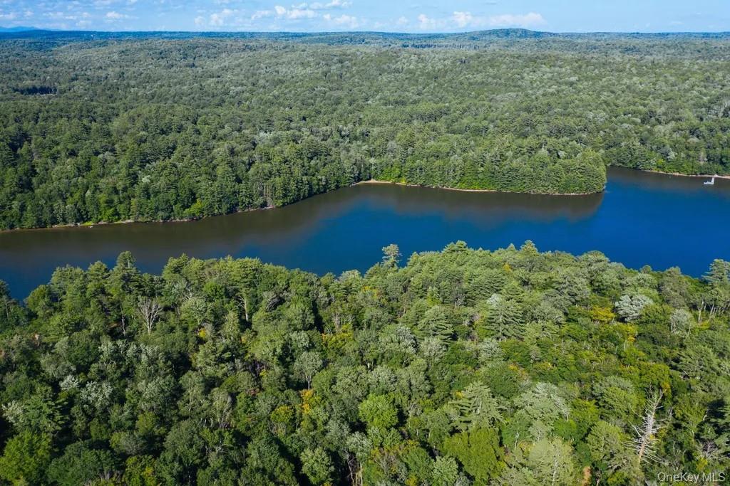 Lot 1 Woodstone Trail, Smallwood, NY 12737