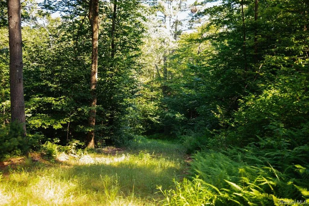 Lot 1 Woodstone Trail, Smallwood, NY 12737