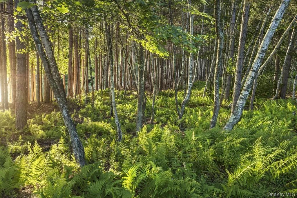 Lot 2 Woodstone Trail, Smallwood, NY 12737