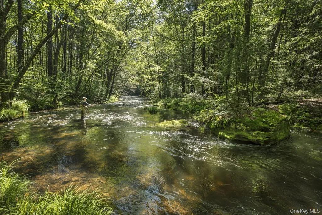 Lot 2 Woodstone Trail, Smallwood, NY 12737