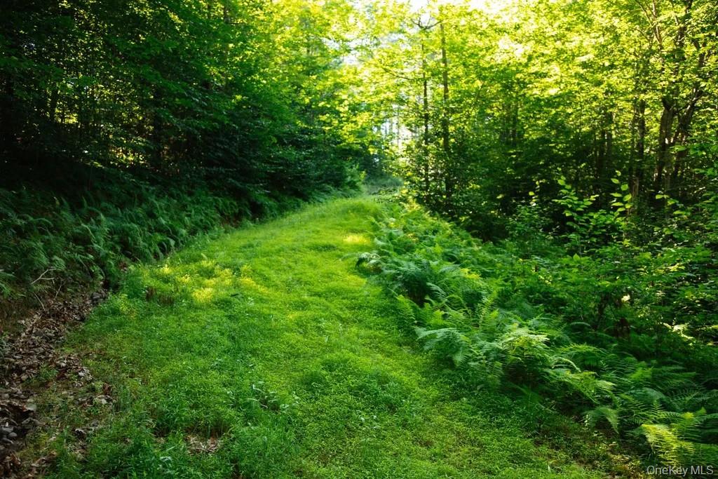 Lot 2 Woodstone Trail, Smallwood, NY 12737