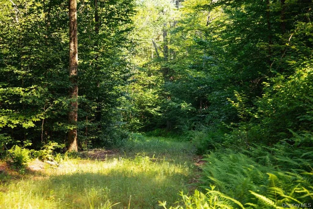 Lot 2 Woodstone Trail, Smallwood, NY 12737