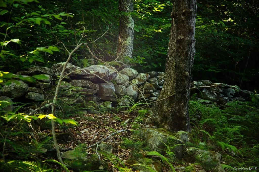 Lot 2 Woodstone Trail, Smallwood, NY 12737