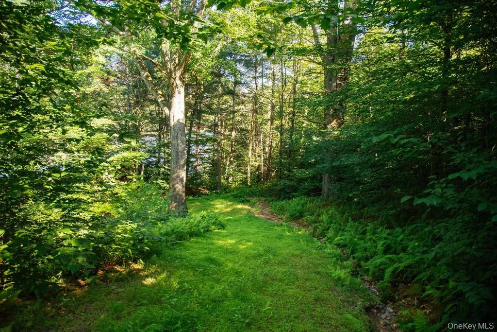 Lot 2 Woodstone Trail, Smallwood, NY 12737