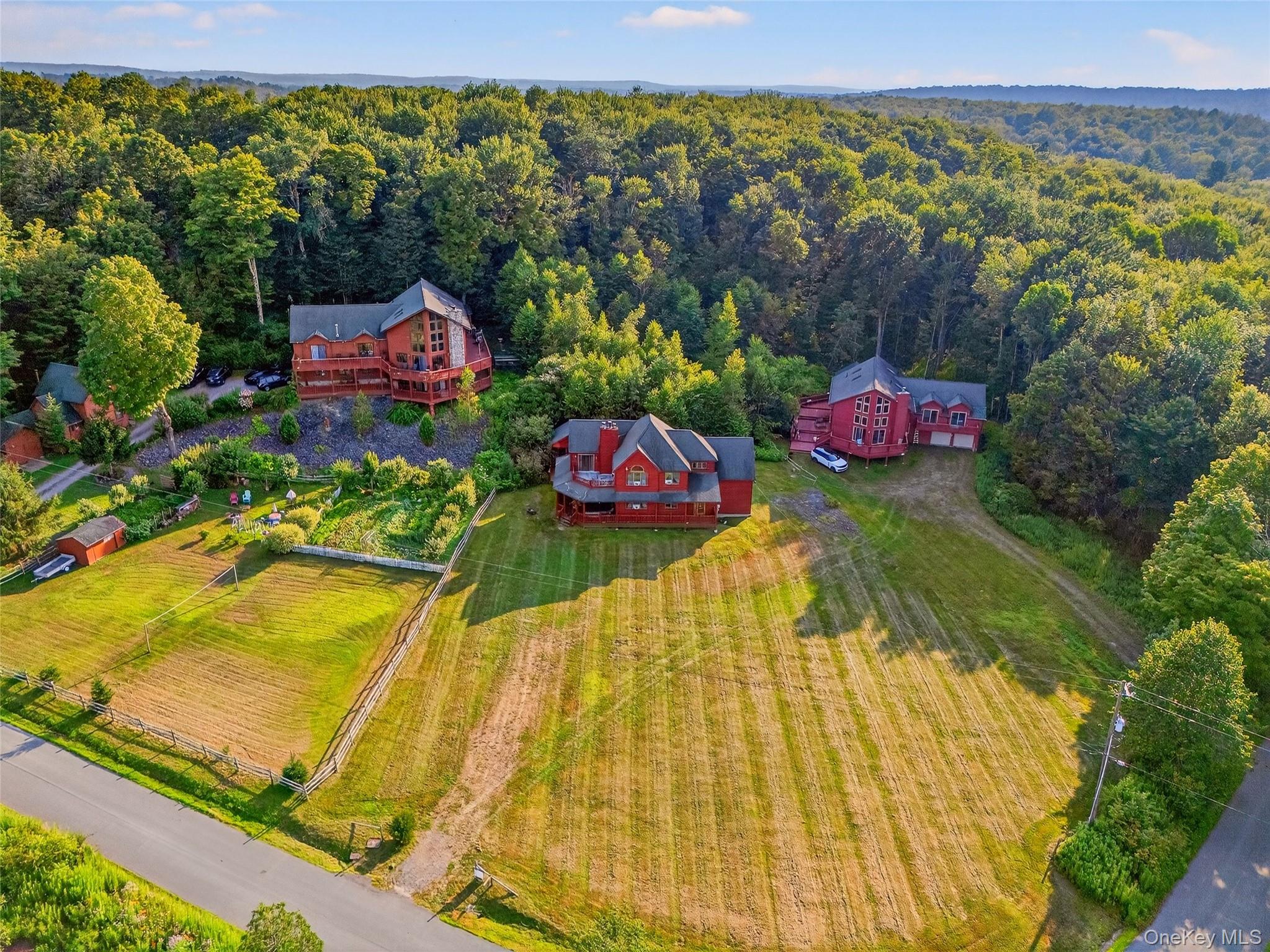 987 Hurd Road, Swan Lake, NY 12783