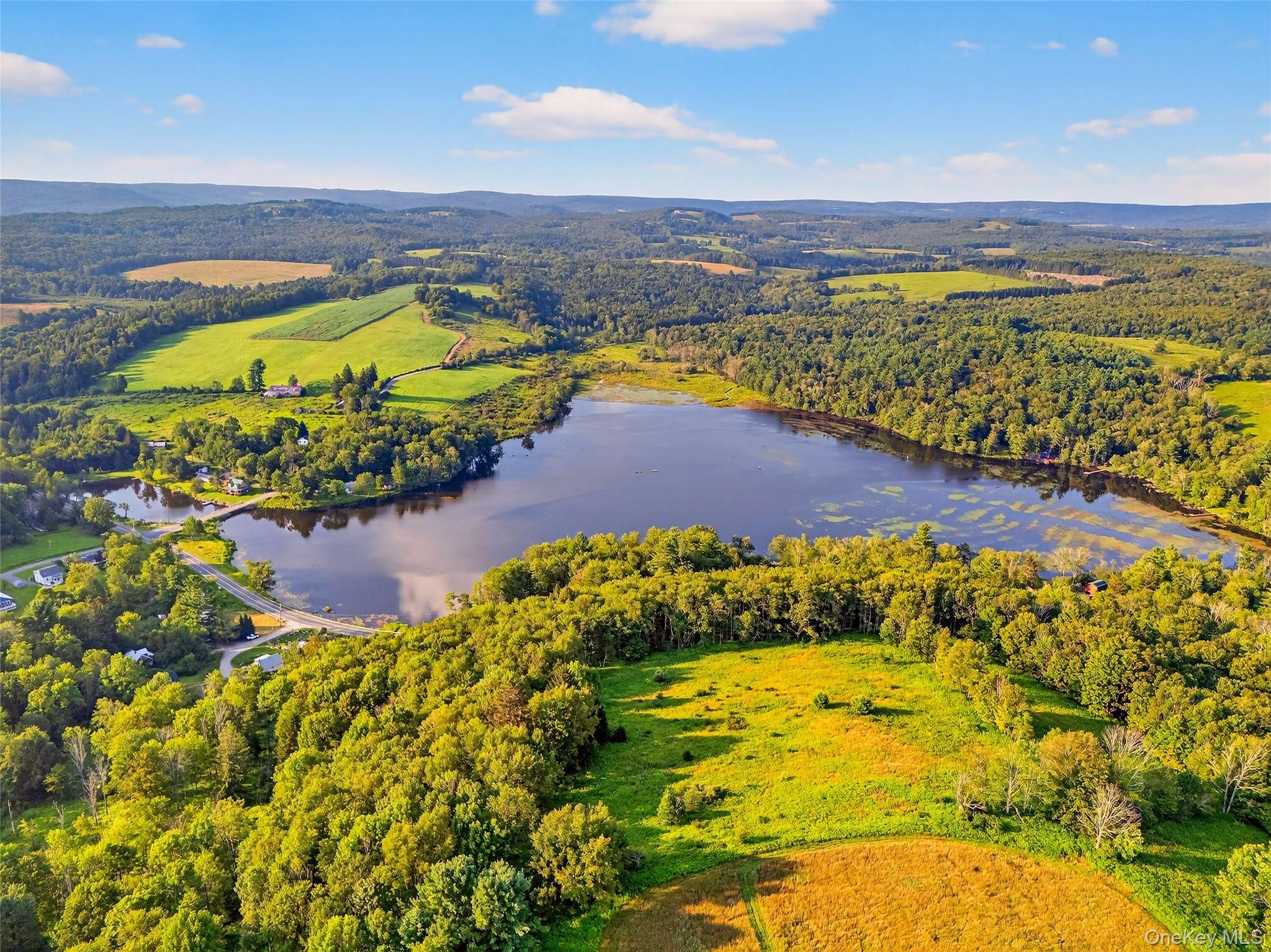 987 Hurd Road, Swan Lake, NY 12783