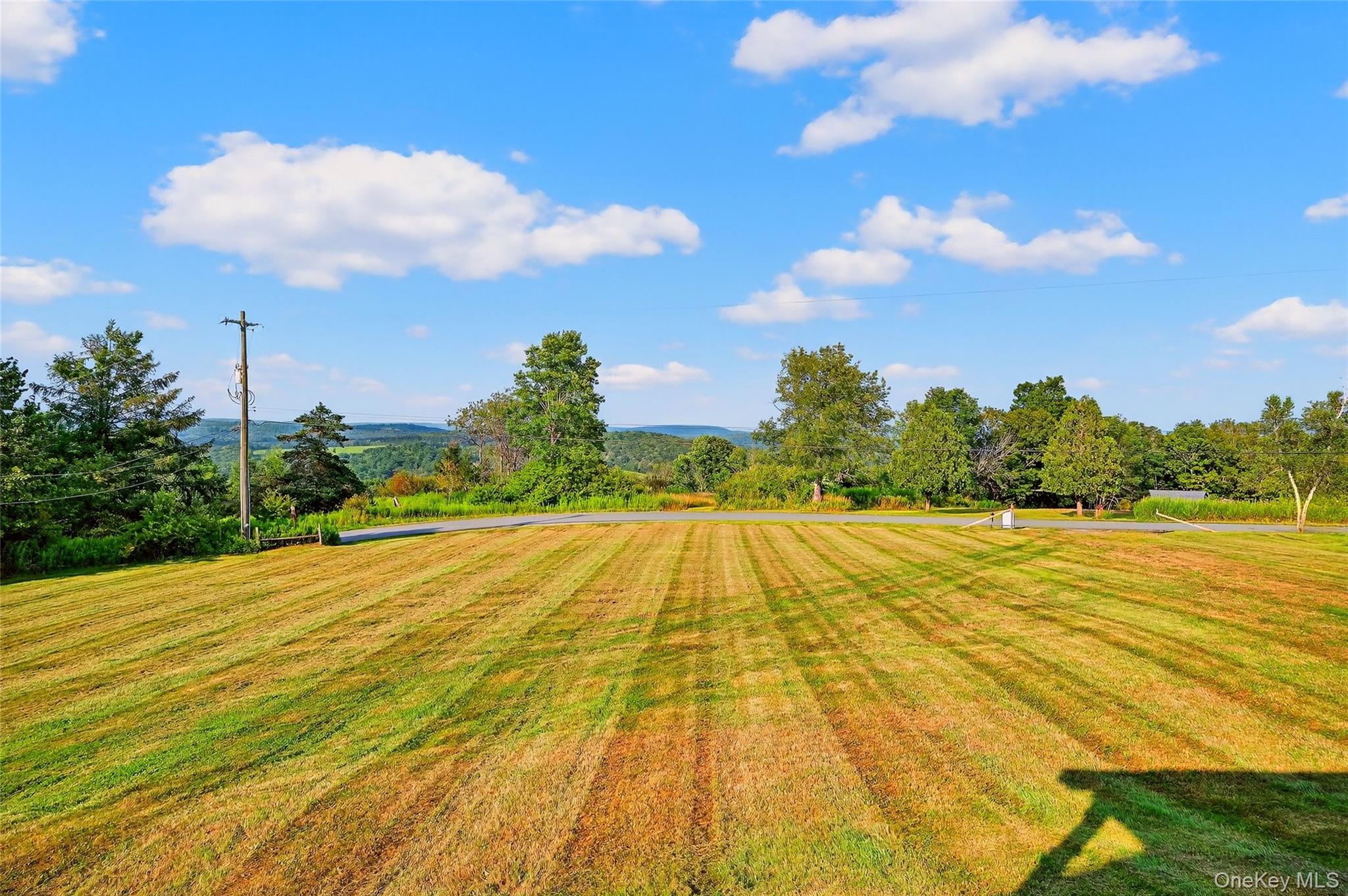 987 Hurd Road, Swan Lake, NY 12783