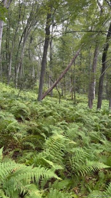 115 Moore Rd, Woodbourne, NY