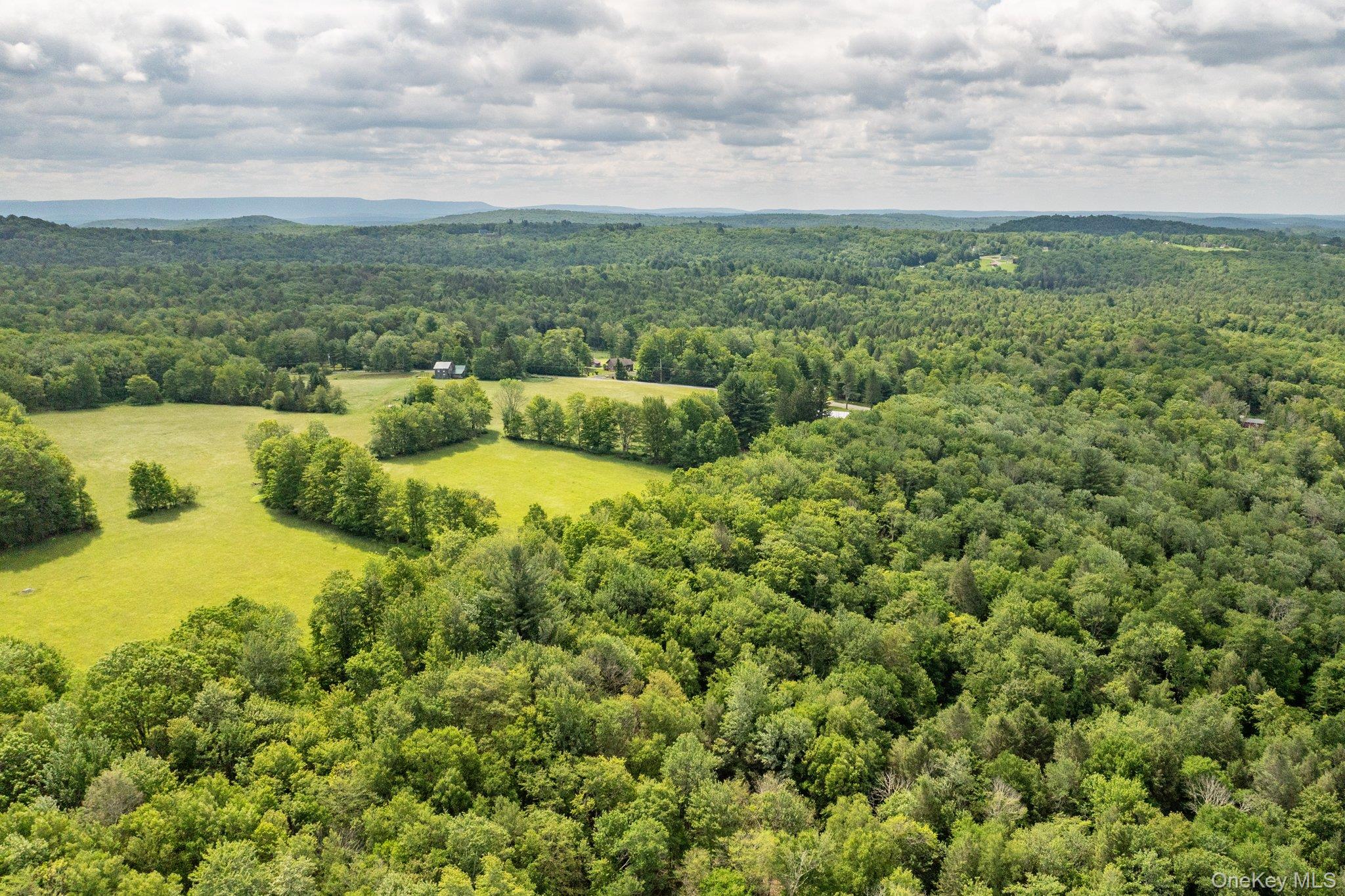 115 Moore Rd, Woodbourne, NY
