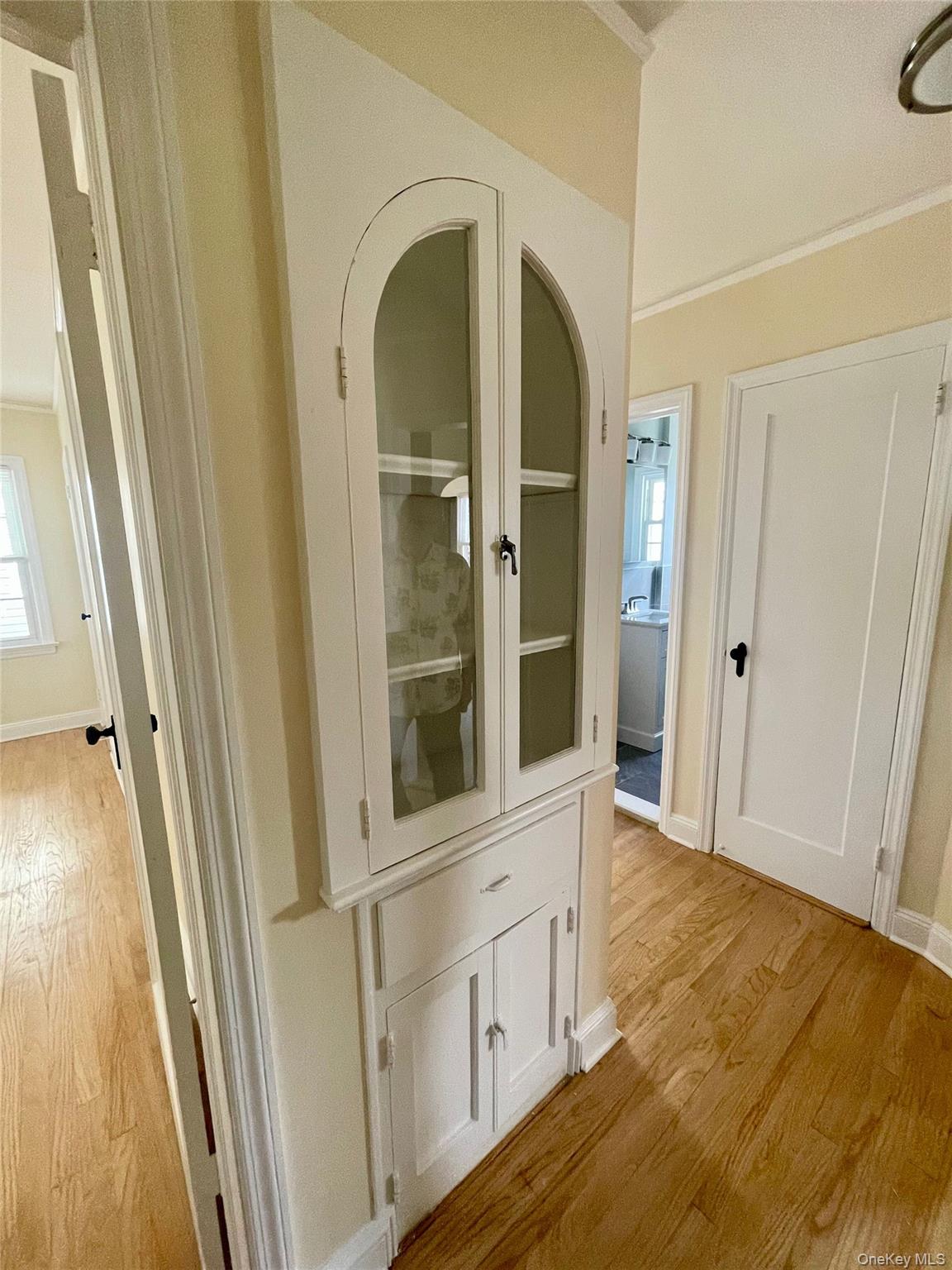 24 Tulip Lane, New Hyde Park, NY 11040