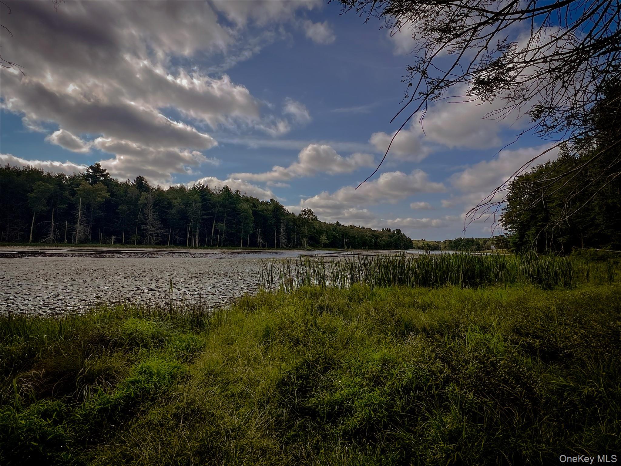 72 Black Lake Road, Bethel, NY 12786