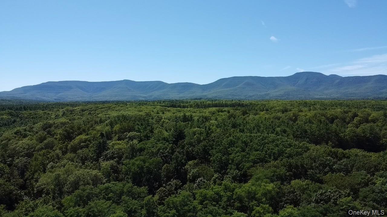 36 Jones Street, Cairo, NY 12413