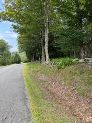 113 Moore, Woodbourne, NY