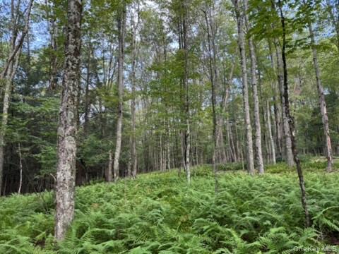 113 Moore, Woodbourne, NY