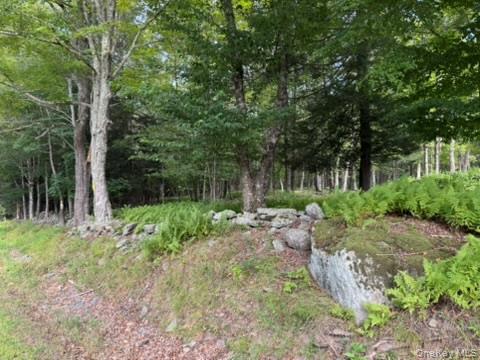 113 Moore, Woodbourne, NY