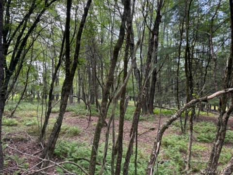 113 Moore, Woodbourne, NY