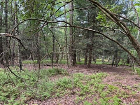 113 Moore, Woodbourne, NY