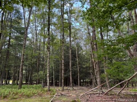 113 Moore, Woodbourne, NY