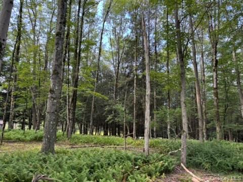 113 Moore, Woodbourne, NY